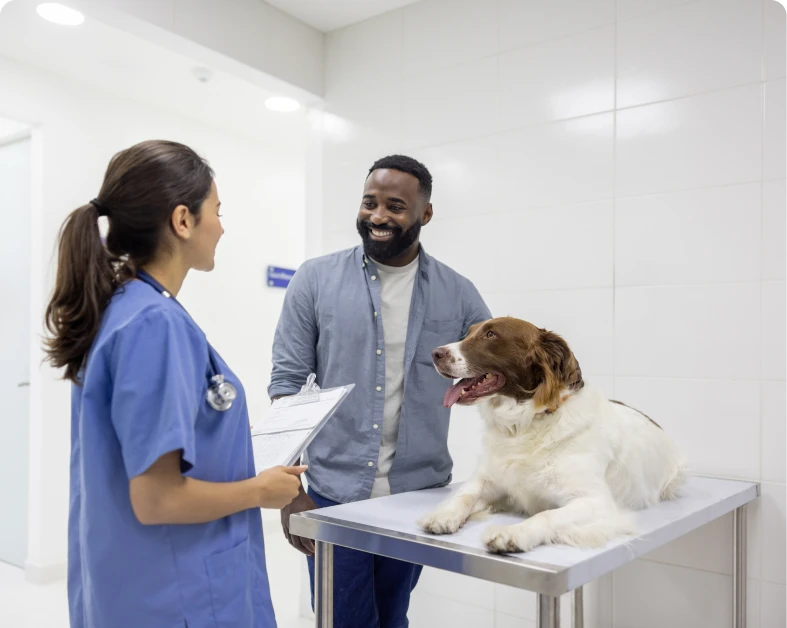 Veterinarian discussing with man and dog.