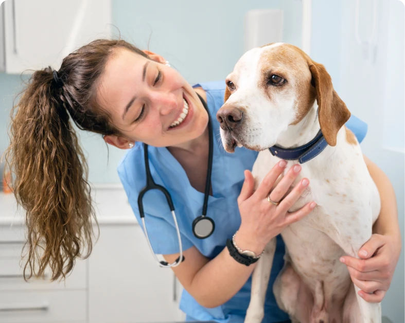 Veterinarian smiling with a dog in clinic.