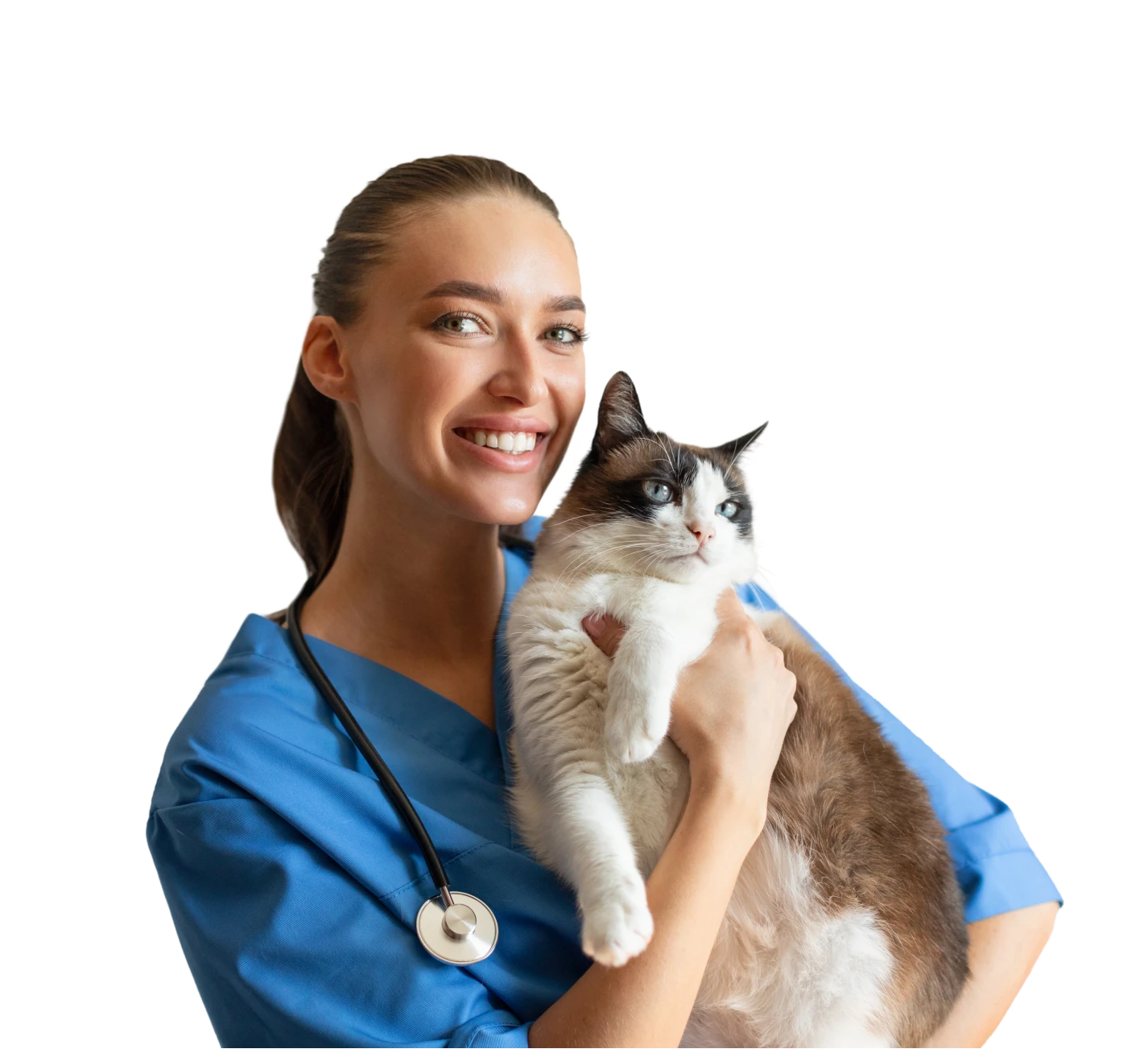 Veterinarian holding a cat, smiling.